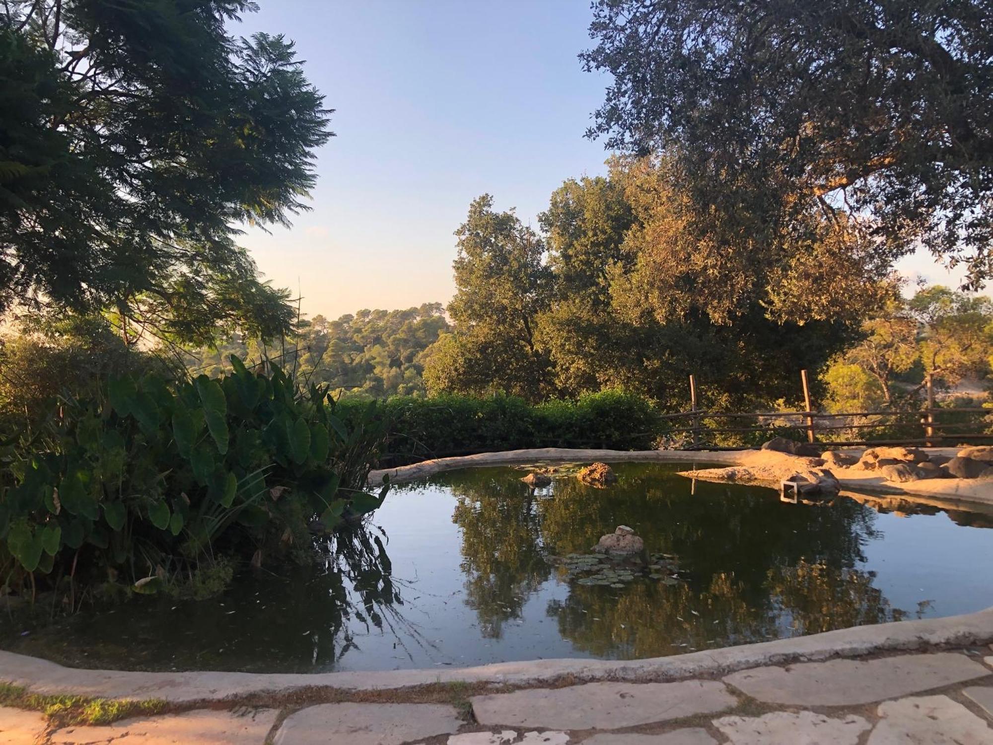 Beit Oren Hotel Exterior photo